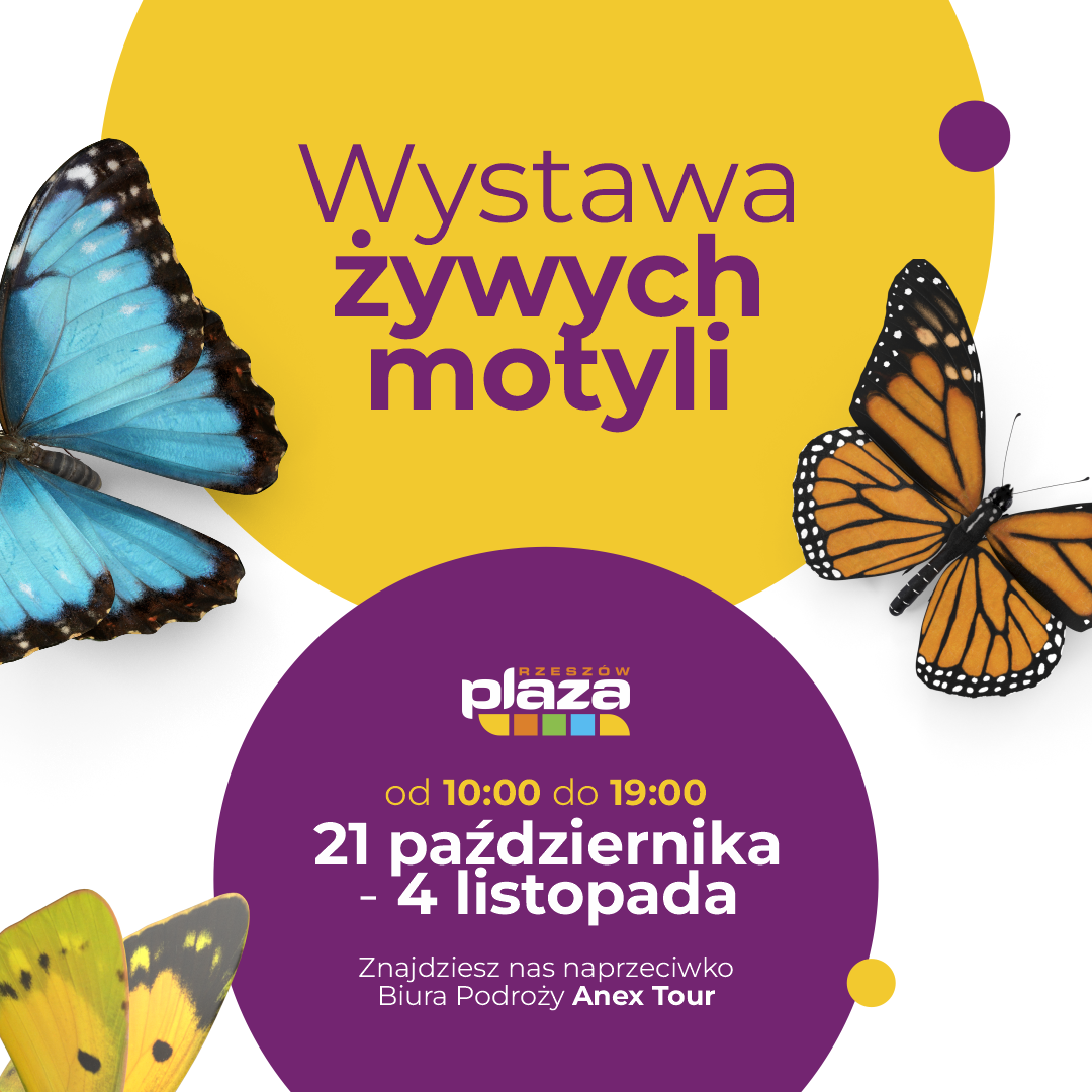 plaza Rzeszów